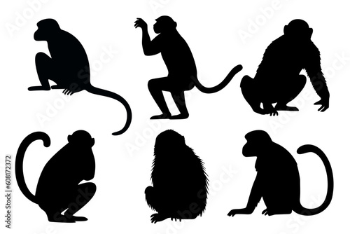 Monkey black silhouettes vector set. Animals primate in different poses