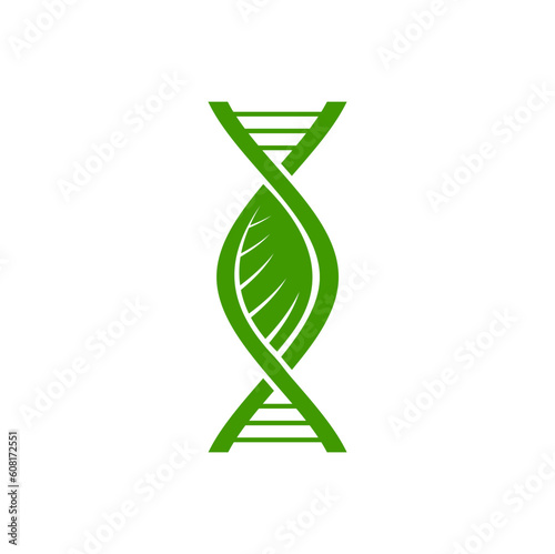 Plant DNA icon, leaf and green gene helix strand vector symbol of biotechnology research, nature, biology and medicine. Plant cell DNA, chromosome helix with green leaf sign, organic genetics science