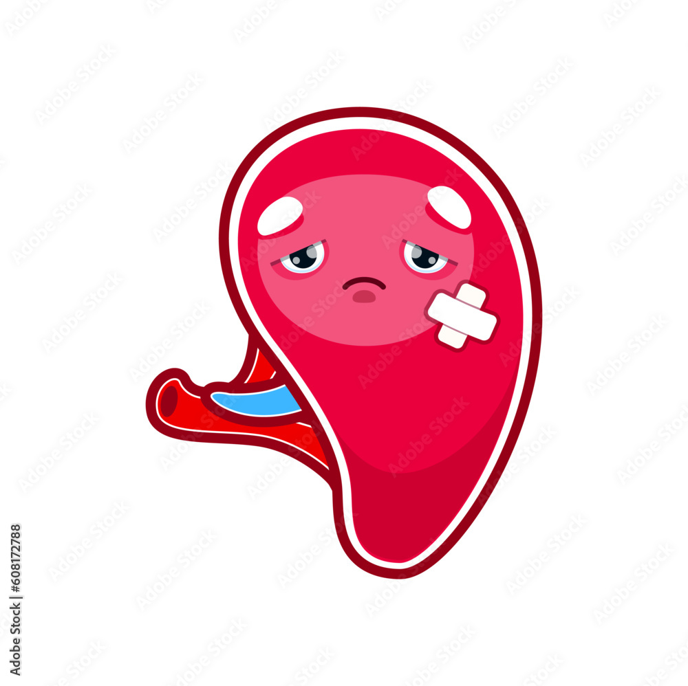 Cartoon sick spleen character, injured unhealthy human organ, isolated vector. Sad spleen with medical patch, body digestion system disease or unhealthy illness and infection of spleen organ Cartoon sick spleen character, injured unhealthy human organ, isolated vector. Sad spleen with medical patch, body digestion system disease or unhealthy illness and infection of spleen organ