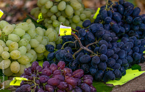 Harvest from grapes of different varieties grown on the northernmost point in Europe. Pink, green, red and black grapes.