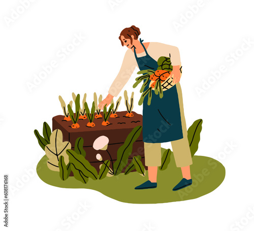 Farmer collecting vegetables, picking harvest, carrots from raised garden bed. Woman with farm, agriculture hobby, cultivating food crops in soil. Flat vector illustration isolated on white background