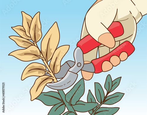 Plants pruning. The human hand in gardening glove trim the gardening plant. The human hand with gardening scissors. Vector illustration. 