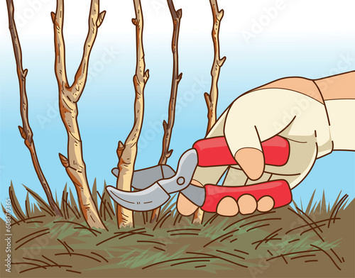 Plants pruning. The human hand in gardening glove trim the gardening plant. The human hand with gardening scissors. Vector illustration. 