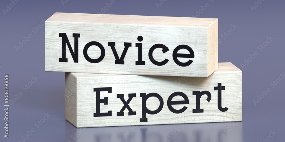 Novice, expert - words on wooden blocks - 3D illustration Novice, expert - words on wooden blocks - 3D illustration