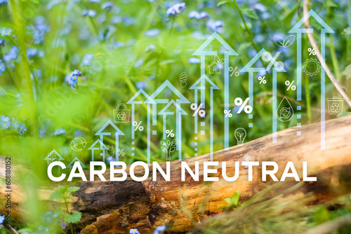 Carbon neutra icon on the top view of the forest for Carbon neutral and net zero concept natural environment ,greenhouse gas emissions targets photo