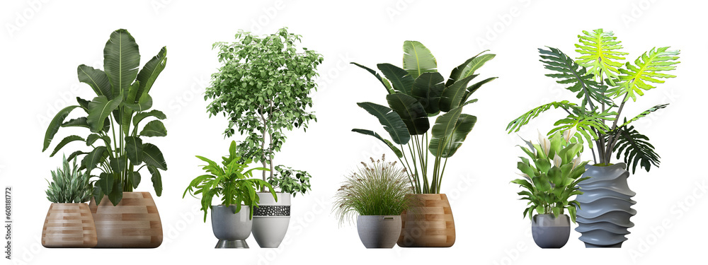 rosemary in a pot