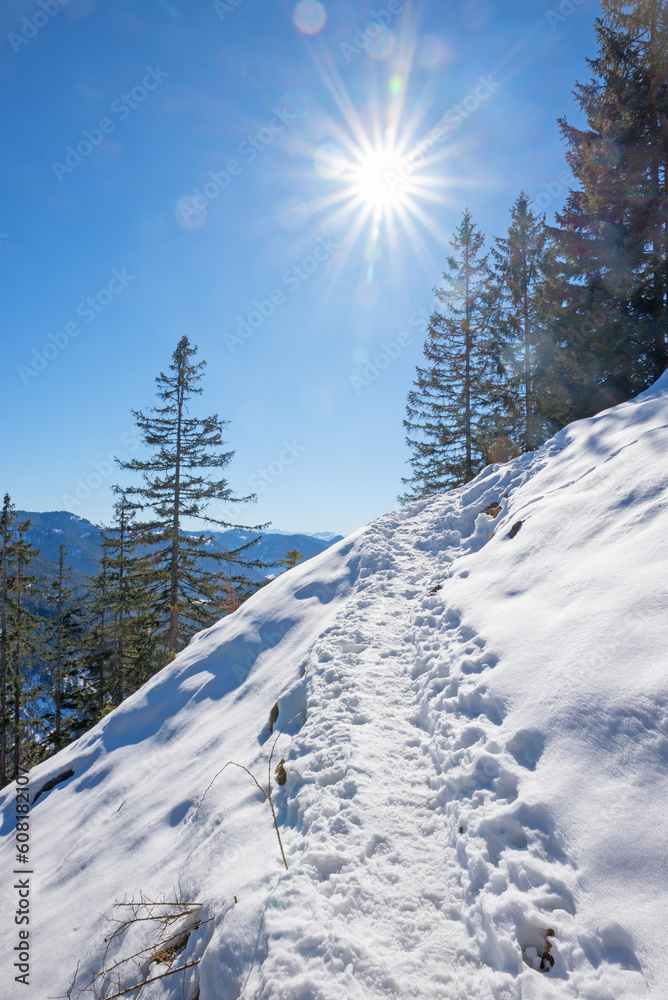 Obraz premium hiking path to Seeberg mountain in winter, upper bavarian landscape