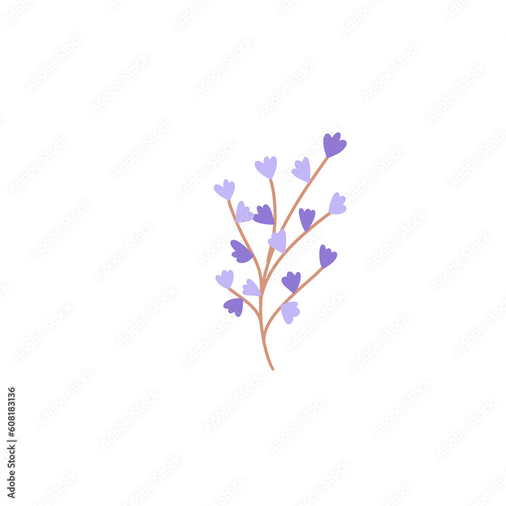 flowers flowers