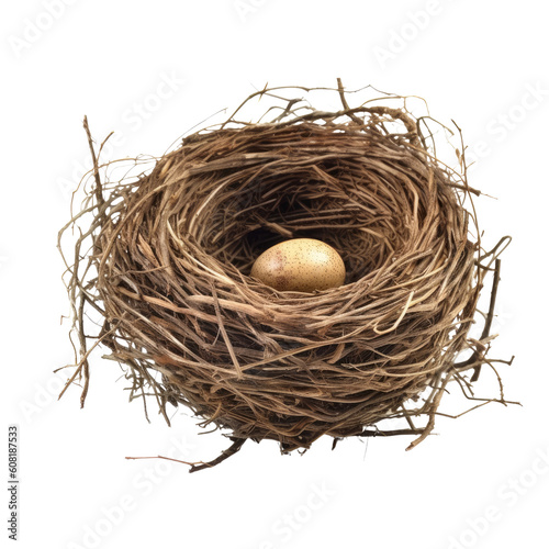nest with egg isolated on transparent background cutout