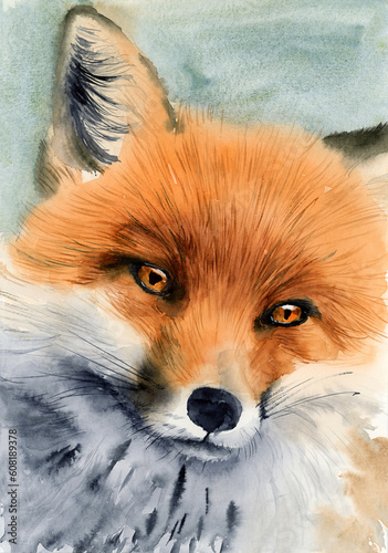 Watercolor illustration of a bright red fox with fluffy fur on a green and grey background