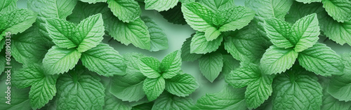 Mint green leaves pattern background, close-up.