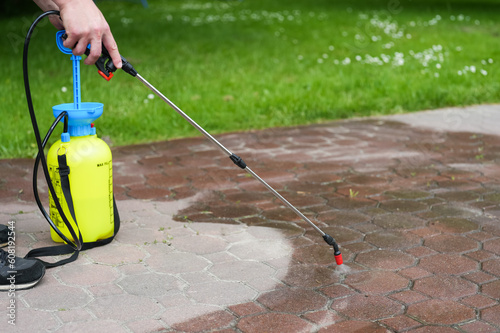 Spraying organic, environmentally-friendly spirit vinegar onto the natural stone pavement (driveway, parking lot) to remove weeds and moss in an eco-friendly manner. Close-up on the hand and the pump 