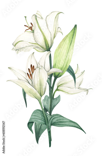 White lily. Floral bouquet. Hand drawn clipart for wedding invitations, birthday stationery, greeting cards, scrapbooking. Watercolor illustration.