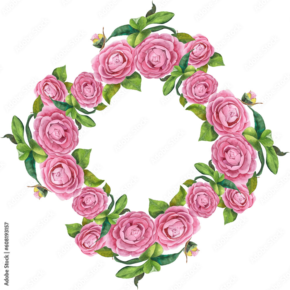 Round frame of camellia flowers on a transparent background. Branches with flowers, buds and leaves. Watercolor is a drawing style. Graphics. Use printed materials, signs, objects, websites, maps, pos