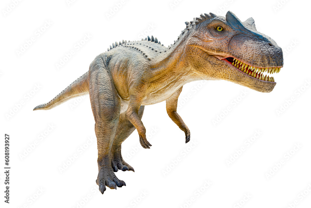 Obraz premium Tyrannosaurus T-rex, dinosaur on white background with Clipping path. 
