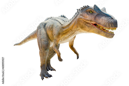 Tyrannosaurus T-rex, dinosaur on white background with Clipping path.  © nithat