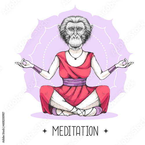 Hand drawing hipster animal monkey meditating in lotus position on mandala background. Vector illustration