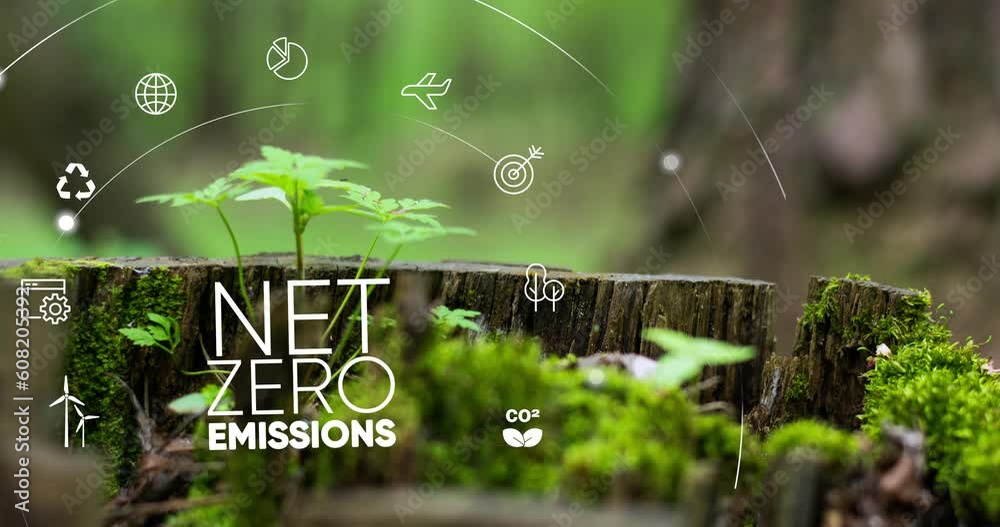 Net zero , carbon neutral concept. Net zero greenhouse gas emissions target. Climate neutral long term strategy with green net zero icon and green icon on green circles doodle background.