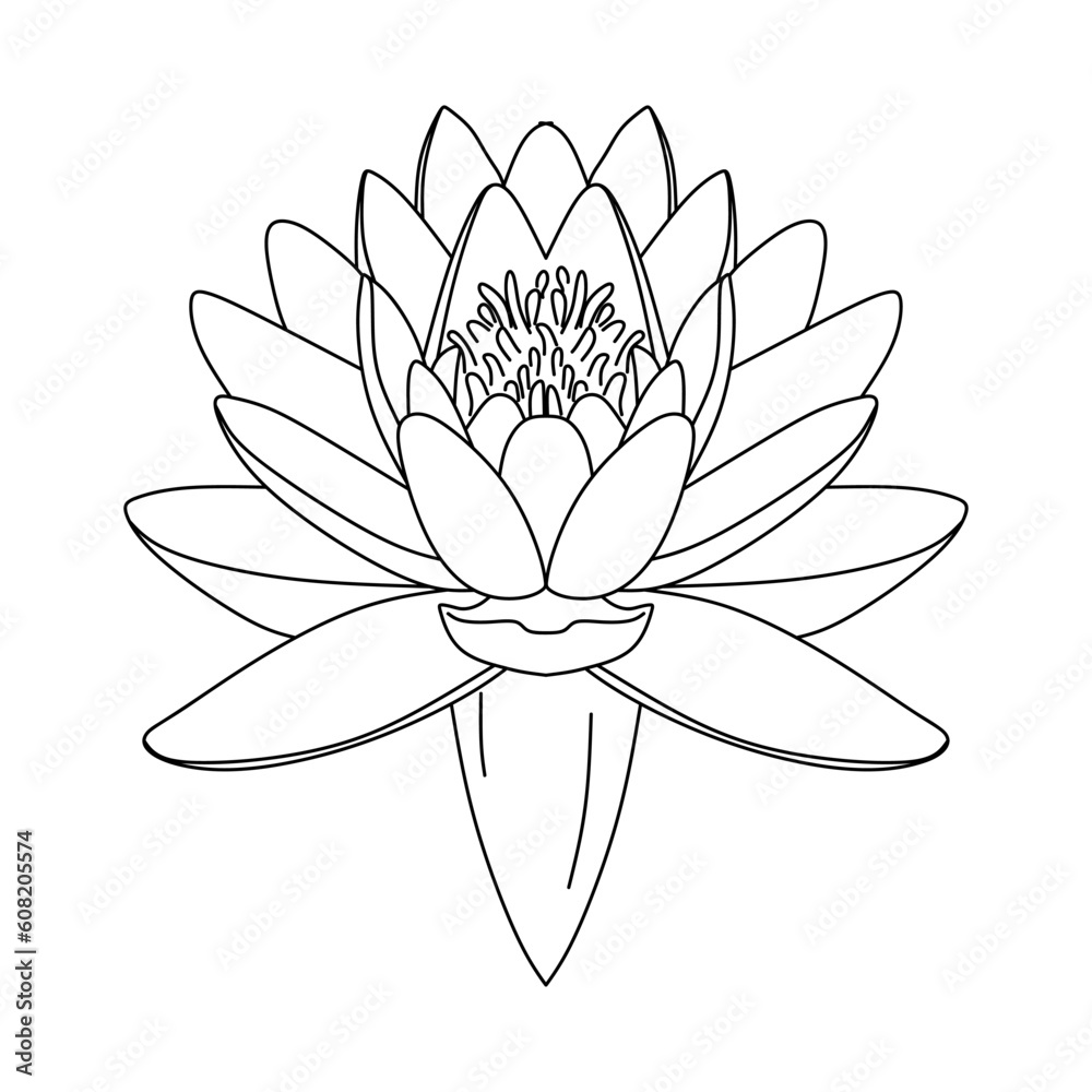Hand drawing Lotus flower. Lotus line drawing outline isolated on white