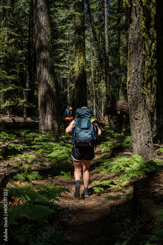 Woman Carries Full Backpack Through Pine Forest in Yosemite