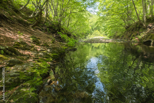 美しい新緑と川②