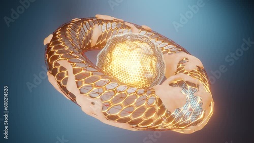 Loop abstract 3d animation of a futuristic torus, mesh rings and hexagonal polygons. Glowing rings and fog surround the abstract fantastic figure. Futuristic abstraction.