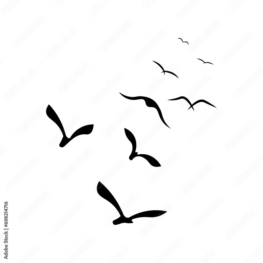 Birds Hand Drawn Element