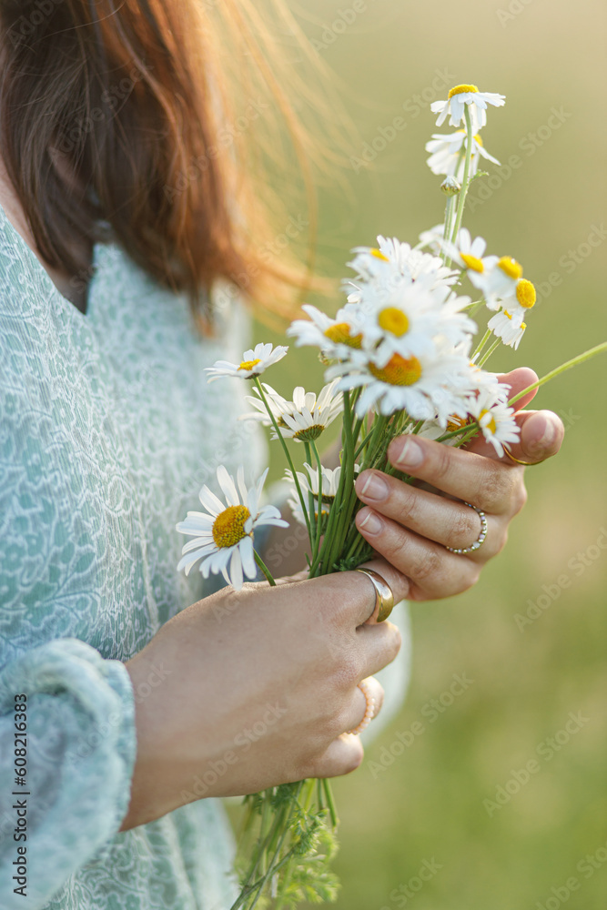 Daisy bouquet in woman hand in evening summer countryside, close up. Young female gathering wildflowers in meadow. Carefree atmospheric moment Daisy bouquet in woman hand in evening summer countryside, close up. Young female gathering wildflowers in meadow. Carefree atmospheric moment