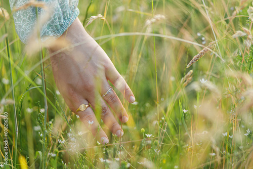 Woman hand among wildflower in grass in summer countryside, close up. Carefree atmospheric moment. Young female gathering wildflowers in meadow. Rural simple life