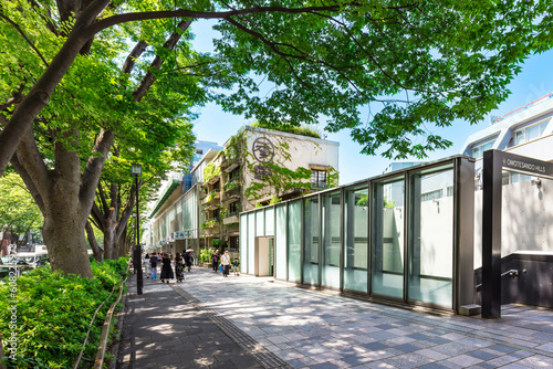 (東京都ｰ都市風景)青空の表参道１