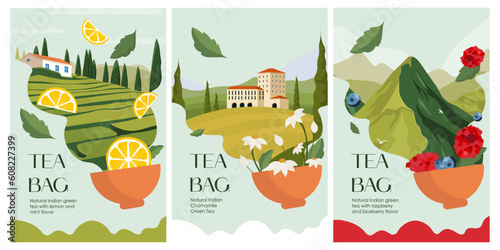 Tea packaging design, green tea, tea with fruits, tea box, tea package.