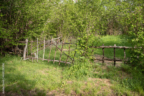 fence in the woods
