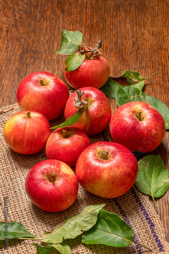 Homegrown red devil apples are freshly picked—vertical image.