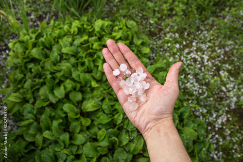 Hail after hailstorm in the palm of hand. Ice balls after summer tunderstorm in green garden