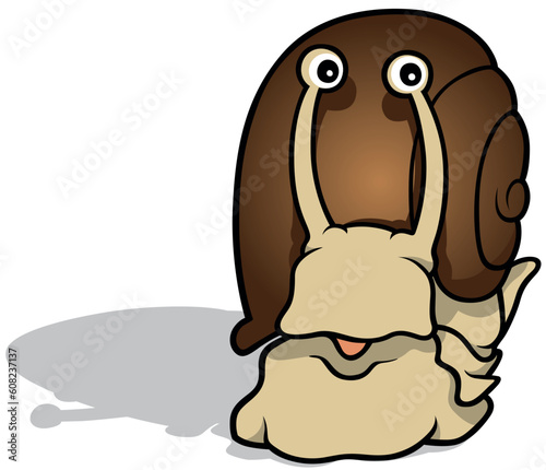 Front View of a Funny Brown Snail