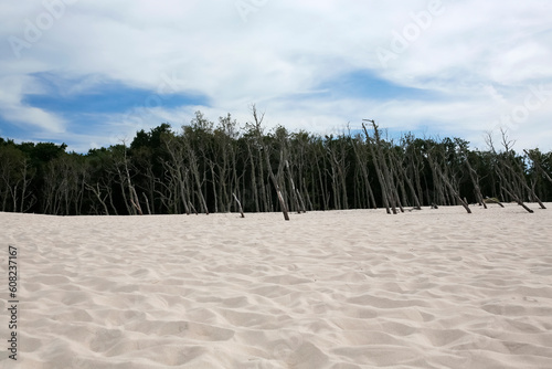 moving sand dune and dead trees in Slowinski National Park, Leba, northern Poland