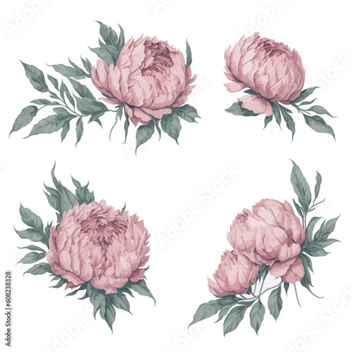Set of Pink Peonies Flower Arrangement Watercolor Illustration.