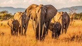 Step into the realm of the savannah and witness the majestic grace of an elephant family as they wander through their natural habitat. Generated by AI.