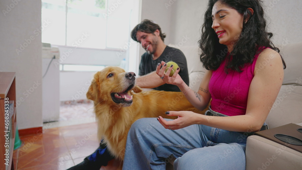 Happy female Dog owner playing with her pet indoors with ball. Authentic real life couple interaction with their Golden Retriever inside apartment
