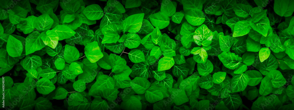 Green leaves banner background. Generative Ai, Green leaves banner background. Generative Ai,