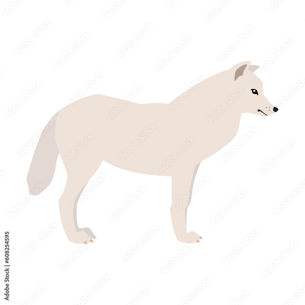 Animal illustration. Arctic arctic wolf in a flat style. Isolated object on a white background. Vector 10 EPS