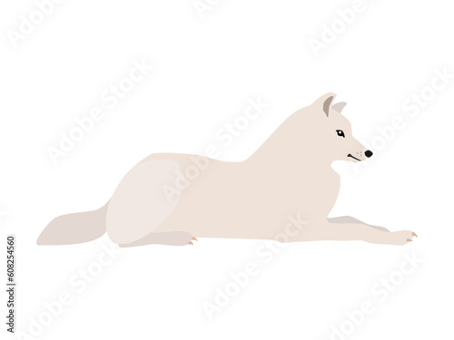 Animal illustration. Lying arctic arctic wolf in a flat style. Isolated object on a white background. Vector 10 EPS