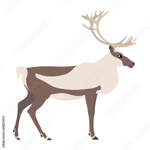 Animal illustration. Standing caribou in a flat style. Isolated object on a white background. Vector 10 EPS