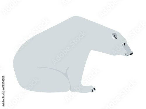 Animal illustration. Sitting polar bear drawn in a flat style. Isolated object on a white background. Vector 10 EPS
