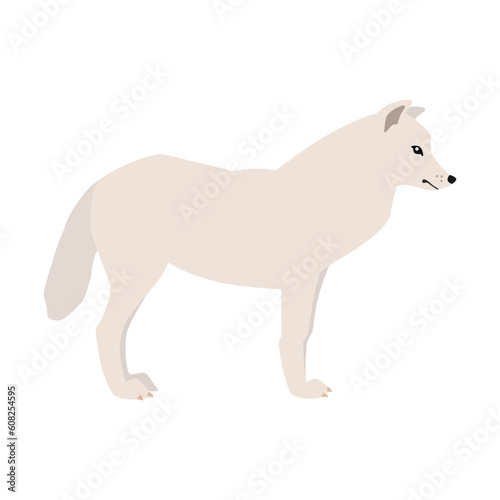Animal illustration. Arctic arctic wolf in a flat style. Isolated object on a white background. Vector 10 EPS © slybrowney