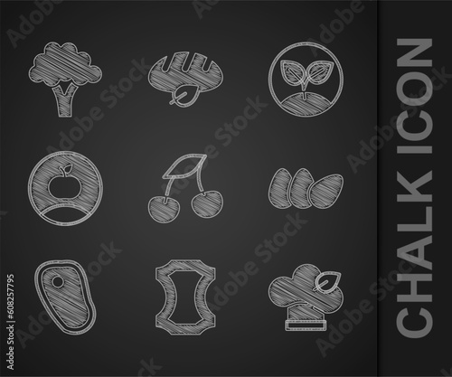 Set Fresh berries, Leather, Vegan food diet, Chicken egg, Steak meat, Apple, Sprout and Broccoli icon. Vector