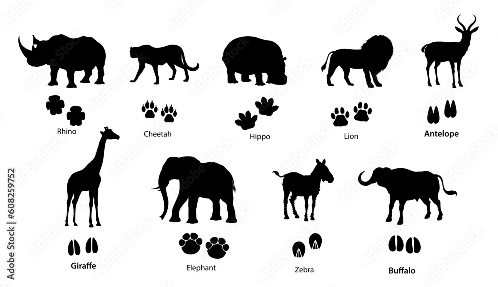 African animal silhouettes with footprints. Vector lion, elephant, rhino and cheetah, safari giraffe, zebra, hippo, buffalo and antelope with paw and hoof tracks. Isolated traces of savanna animals