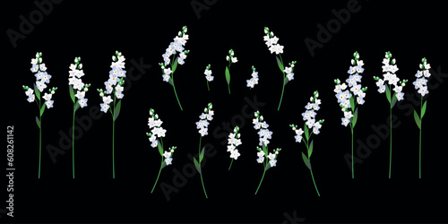 A set of vintage elements. Collection of twigs of blooming forget-me-nots. Spring flowers with white petals. Wedding design clipart, greeting cards for Mother's Day, Valentine's Day.