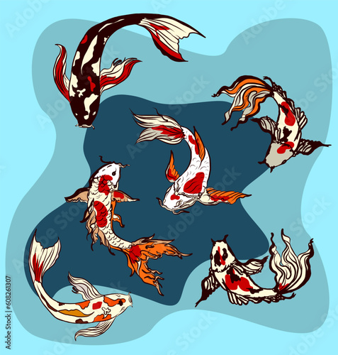 koi carp vector isolate for tattoo.Japanese carp drawing.Hand drawn line art of Koi carp. Vector isolated. Idea for tattoo and coloring books.