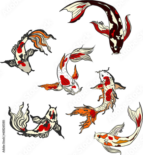 koi carp vector isolate for tattoo.Japanese carp drawing.Hand drawn line art of Koi carp. Vector isolated. Idea for tattoo and coloring books.